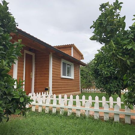 The Mussel House Villa Ksamil Ngoại thất bức ảnh