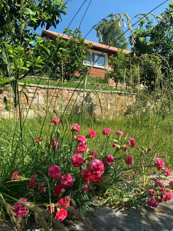 The Mussel House Villa Ksamil Ngoại thất bức ảnh