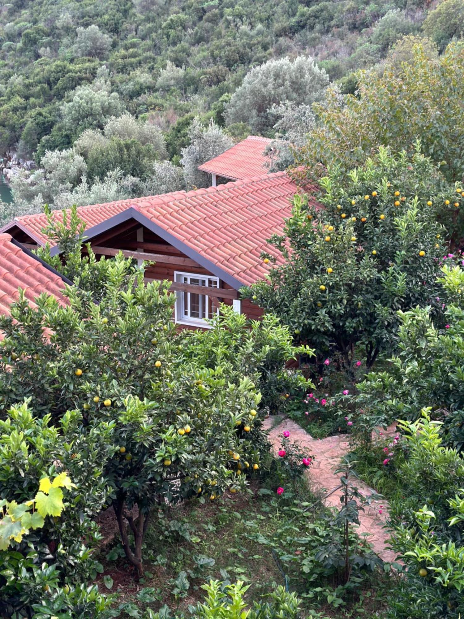 The Mussel House Villa Ksamil Ngoại thất bức ảnh
